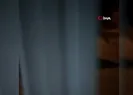 Fırının kapısını açtı, ayıyla karşılaştı