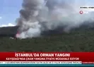 İstanbulda orman yangını