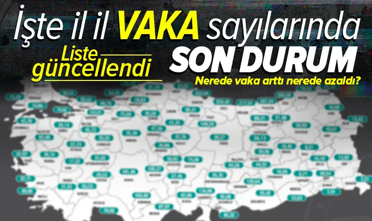 İşte illere göre 100.000 nüfusa karşılık gelen vaka sayısı