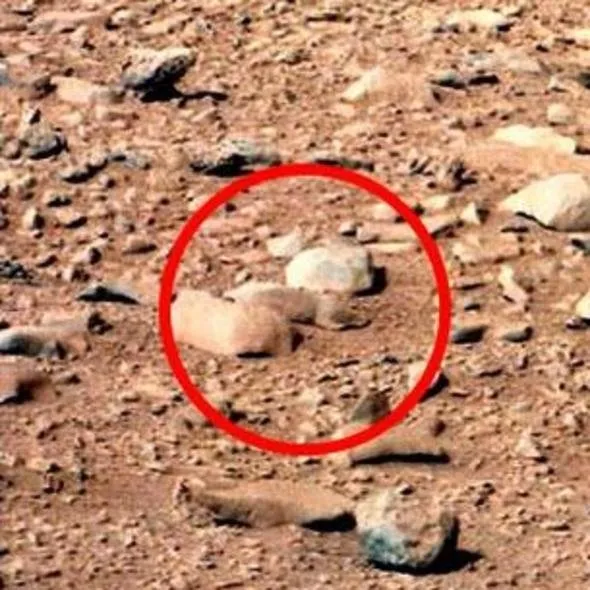 NASA tüm gerçekleri dünyadan saklıyor