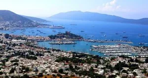 Bodrum’daki pahalılığa buggy çözümü! Vale ücretleri katlanınca…