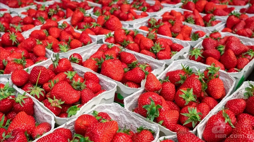 Güne pozitif başlamanın doğal yolu: Bilimin önerdiği mutluluk veren gıdalar 5