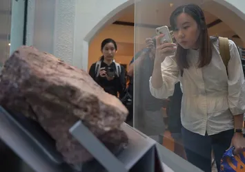 Milyonlarca yıl önce yaşamış! O bölgede ilk kez dinozor fosili keşfedildi