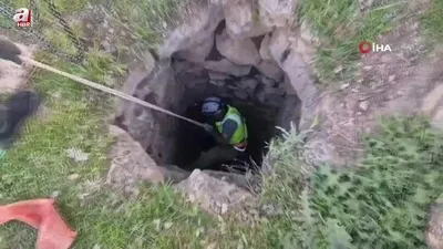 Kuyuya düşen dana kurtarıldı