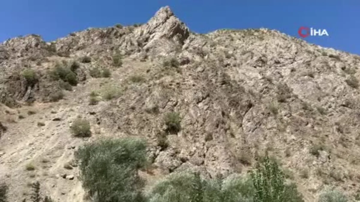 Kaya balının kilosunu 3 bin TL'den satıyor