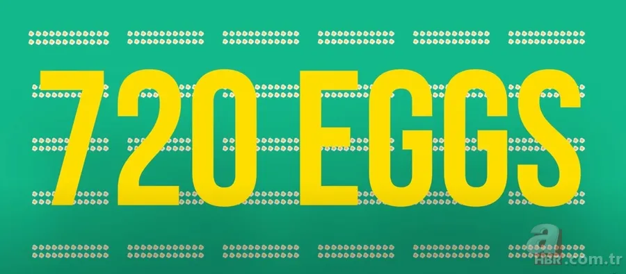 Bir ayda 700 yumurta yedi, kolestrolü düştü! Harvard öğrencisinin çılgın deneyi şaşırttı 3