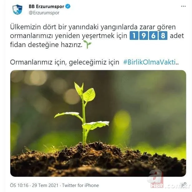 Türkiye yangına karşı tek yürek: Ünlü isimler de destek veriyor! Ormanlara ağaç dikilmesi için büyük kampanya başladı 20
