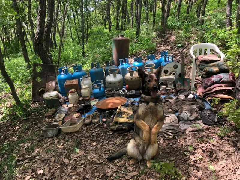 Tunceli’de PKK’ya darbe! Teröristlerin mühimmat deposu olarak kullandığı sığınak imha edildi