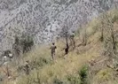 Teröristlere Pençe darbesi