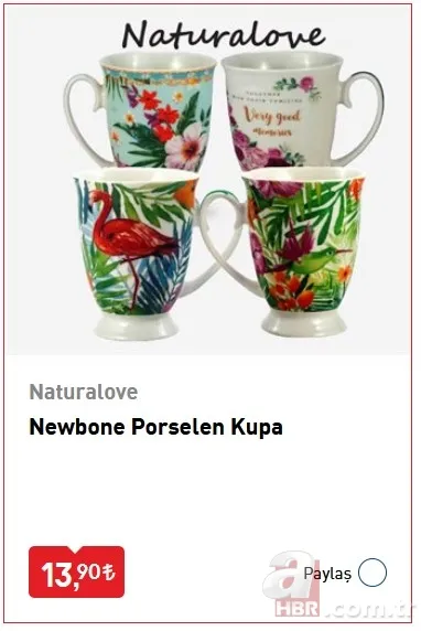 BİM cuma kampanyaları ile dikkat çekiyor! 24 Temmuz BİM aktüel ürünler kataloğunda o ürünler olacak 13