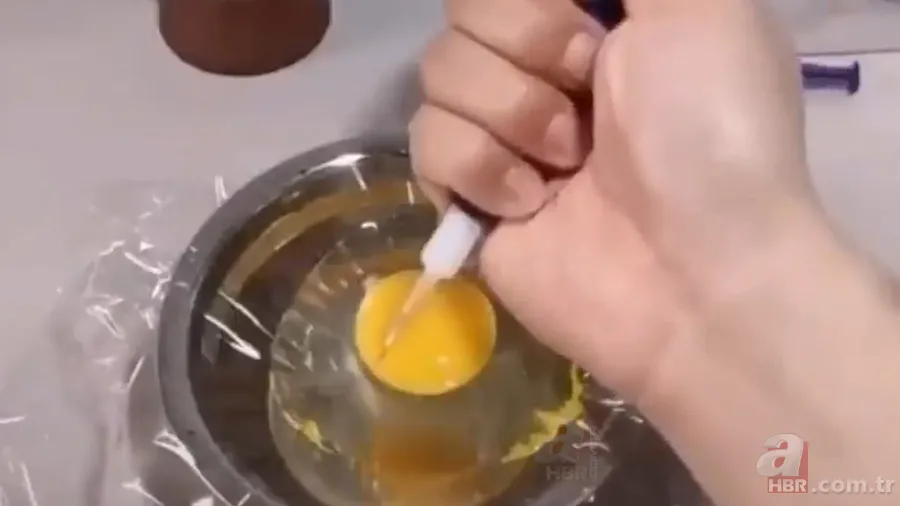 İşte civcivin yumurta içindeki gelişimi 🐣 İğne ile enjekte etti gün gün görüntüledi 🥚 14