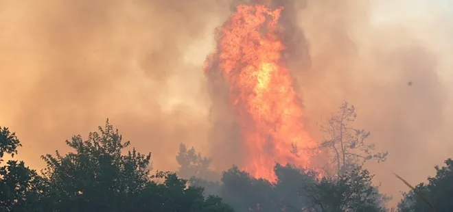 4 ilde ciğerlerimiz yanıyor!