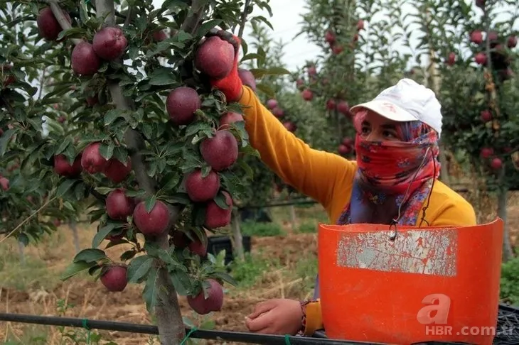 Bahçede görüp etkilendi kariyerini bıraktı! Şimdi hayatı değişti! 10 yılda... 3