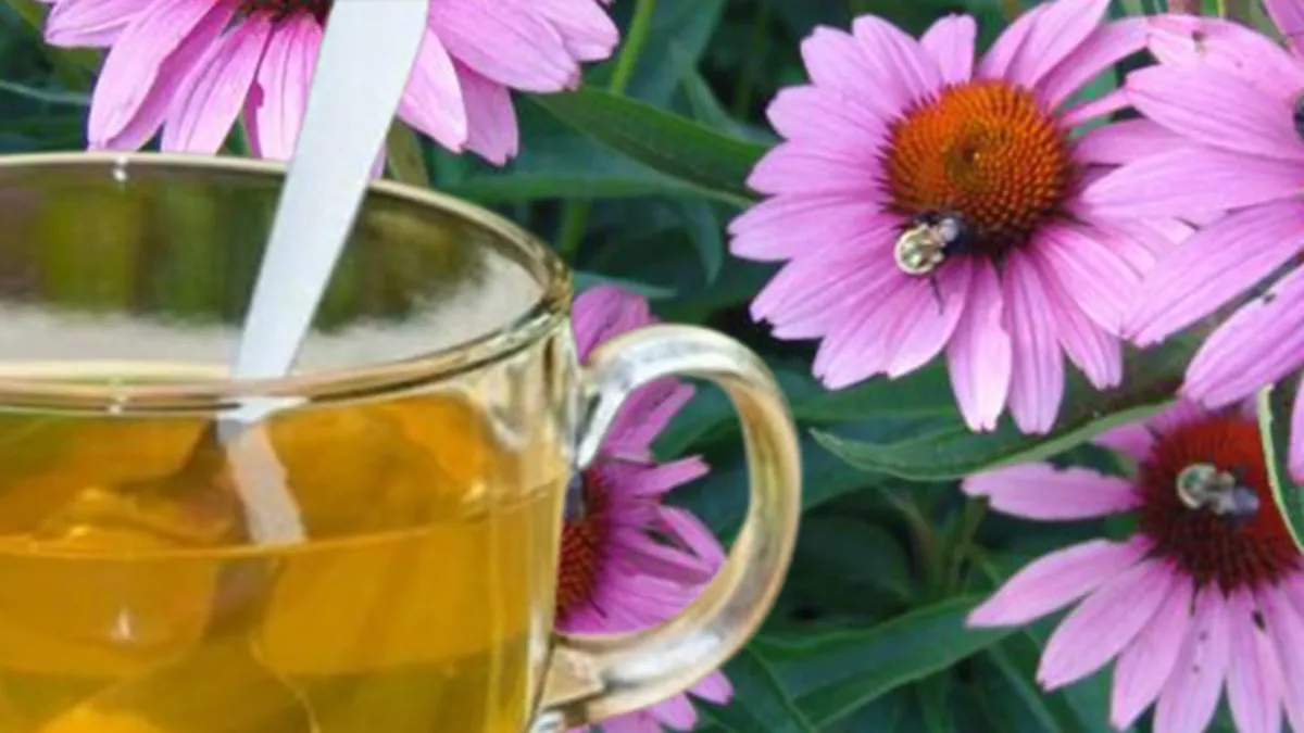 Doğal antidepresan! Faydalarını duyunca şaşıracaksınız...