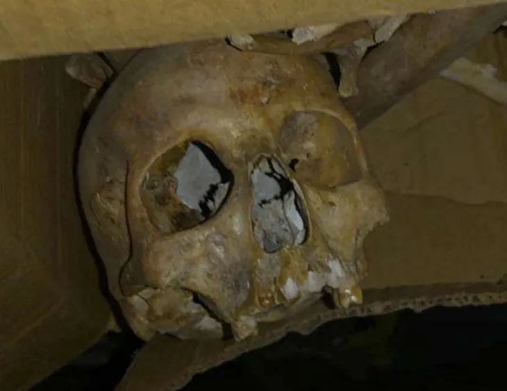Adana’da dehşet! Yeni aldığı evde kafatası ve insan kemikleri buldu