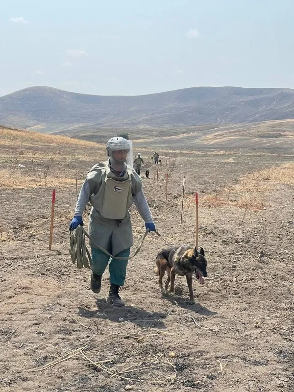 ermenistan-ordusunun-zorbaligi-uzum-baglari-ve-bugday-tarlalarini-cekilmeden-once-patlayicilarla-yok-etmisler-1630521796193.jpg Ermenistan ordusunun zorbalığı bir kez daha kanıtlandı! Üzüm bağları ve buğday tarlalarını çekilmeden önce patlayıcılarla yok ettiler - 2