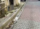 Başına sopayla vura vura öldürdü! Yer: İstanbul