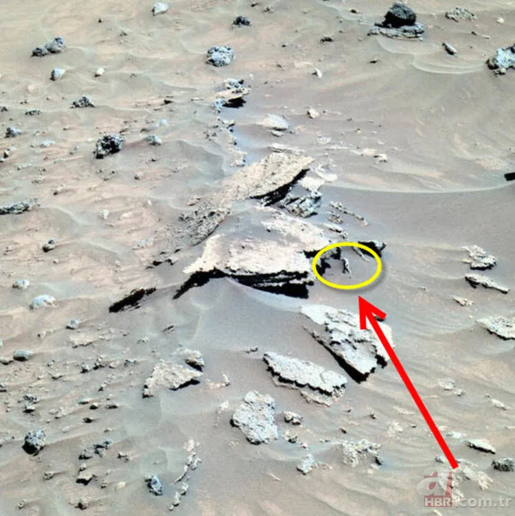 NASA aracının yakınında bulundu! Mars'ta dehşete düşüren keşif... 4