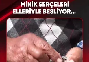 MİNİK SERÇELERİ ELLERİYLE BESLİYOR…
