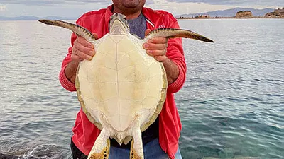 Kayaların arasında buldular