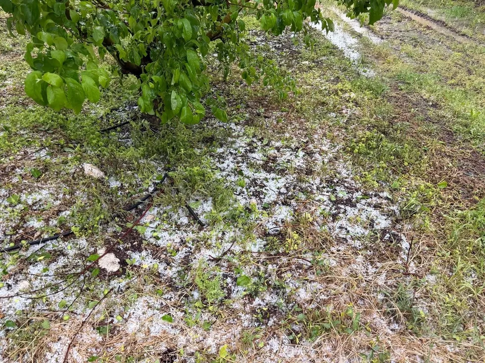Haritadaki renkler kırmızıya döndü! 5 gün boyunca hava nasıl olacak? - 3