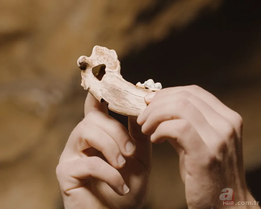 Arkeologlar açıkladı: En eski evcil köpek Türkiye’de 2