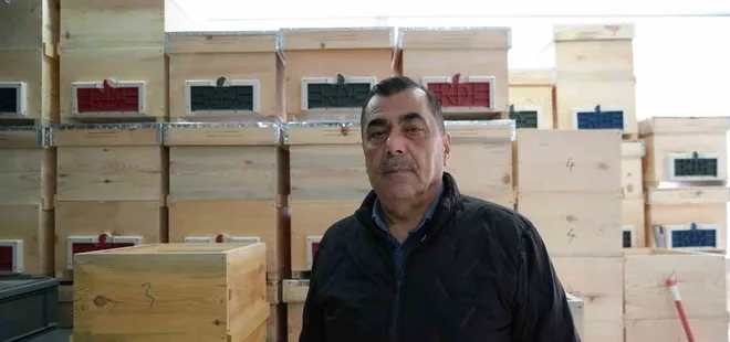 Arı ölümleri korkutuyor