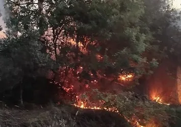 Hatay'da orman yangını paniği: Korkulan olmadı