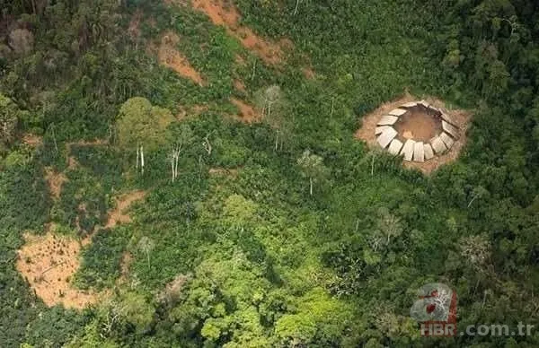 26 yıl kimseyle konuşmayan Çukur Adam öldü! Dış dünyayla teması olmayan kabilenin son üyesiydi 17