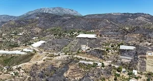 Alanya’daki orman yangınının boyutu havadan görüntülendi