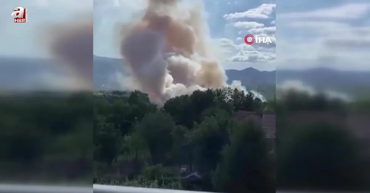 Sazlık alanda korkutan yangın