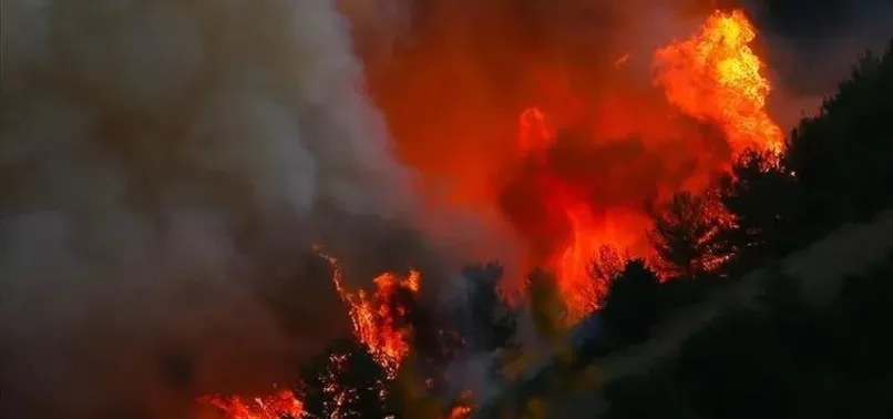 PKK’nın kirli planı ortaya çıktı! Suçu devlete atacaklardı