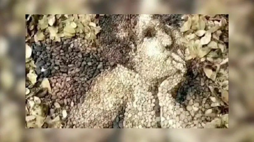 İlk fark ettiğiniz detay kişiliğinizi açığa çıkarıyor! Huzurlu mu yoksa stresli misin?