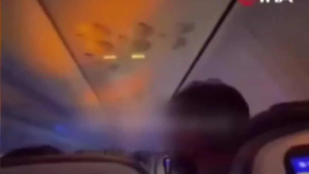 Havada panik anları! Uçağın motor bölümüne tavşan girdi: Alevler nedeniyle acil iniş yaptı