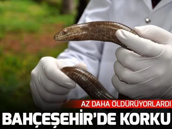 Yasak aşkı uğruna parmaklıklara sıkışan adam konuştu! - 1