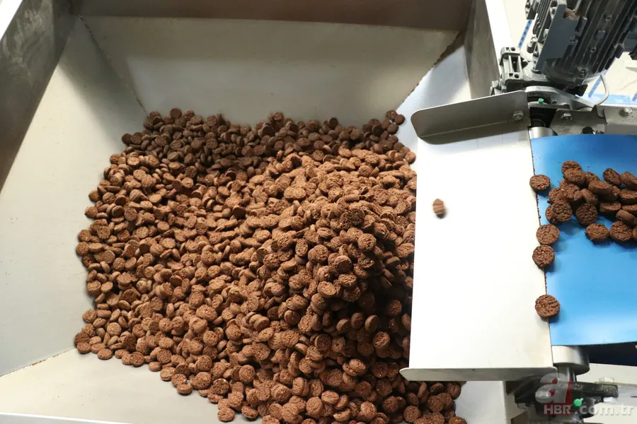 200 milyon TL devlet desteğiyle kuruldu! Kayseri'den 5 ülkeye ihraç ediyor 2