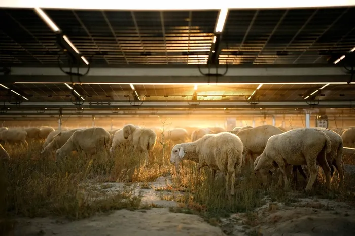 kalyon-enerjiden-surdurulebilirlik-yolunda-onemli-adim-un-global-compact-kuresel-ilkeler-sozlesmesi-imzacisi-o-1711613202680.jpeg Kalyon Enerji’den sürdürülebilirlik yolunda önemli adım... UN Global Compact (Küresel İlkeler Sözleşmesi) imzacısı oldu - 1