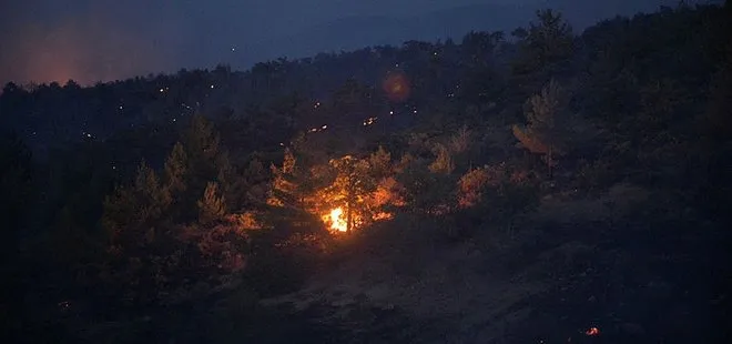 Kahramanmaraş’taki orman yangını söndürüldü