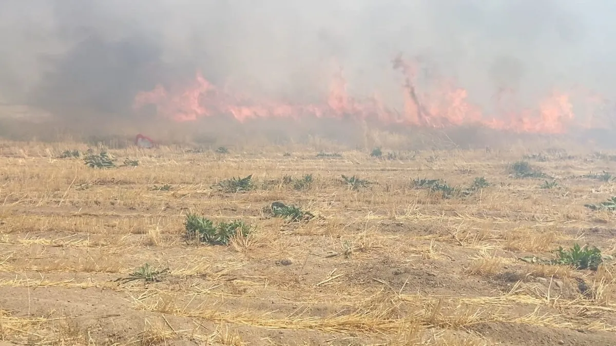 Adilcevaz'da arpa tarlasında yangın