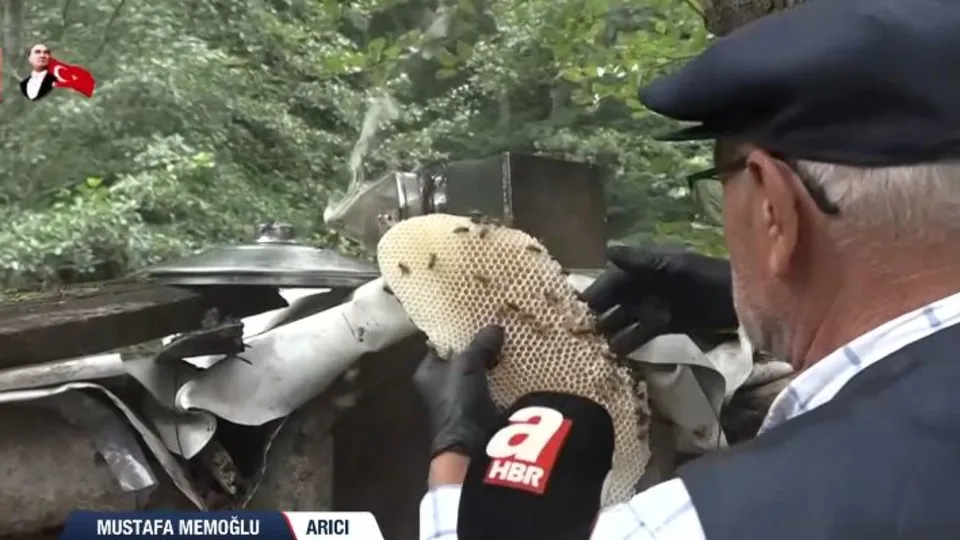 Karakovan balı şifa dağıtıyor