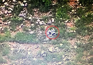 PKK'nın İHA'sı düşürüldü