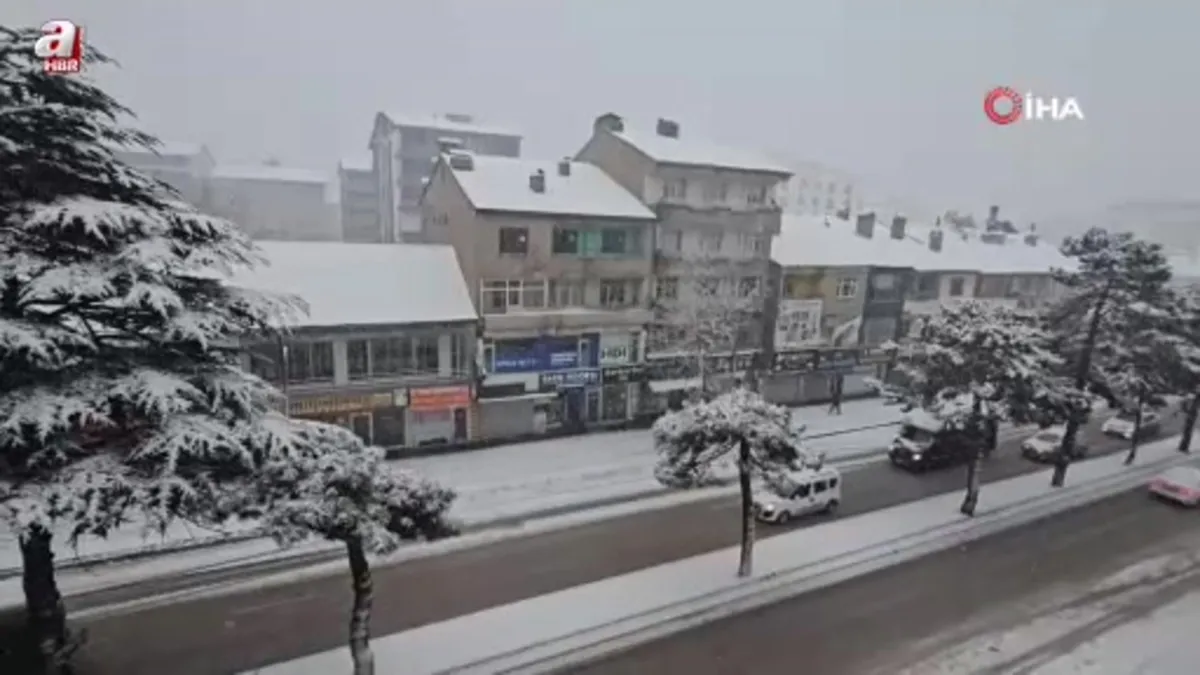 Bitlis Tatvan’da kar yağışı