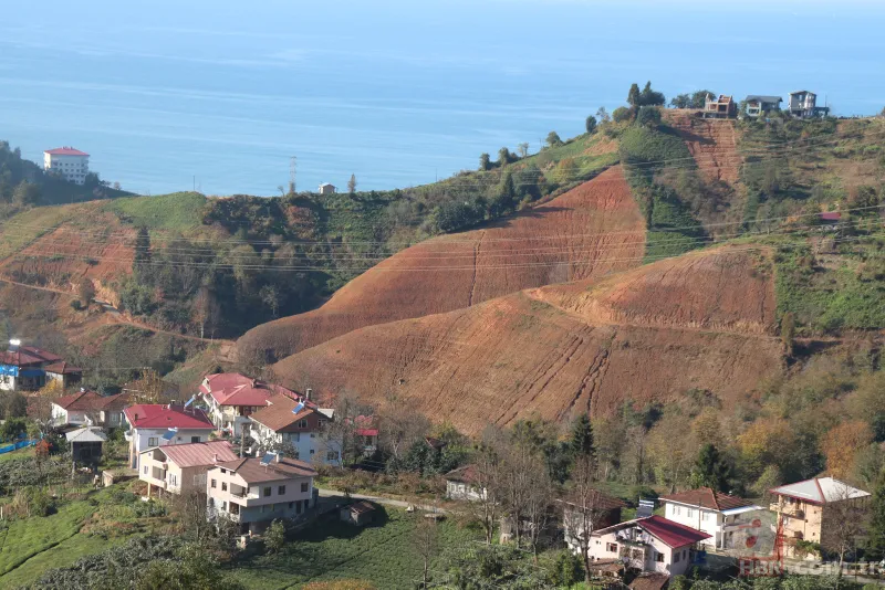 Tarladaki ürünleri tek tek söküyorlar! Uzman isim uyardı: Sıkıntı yaşarız 4