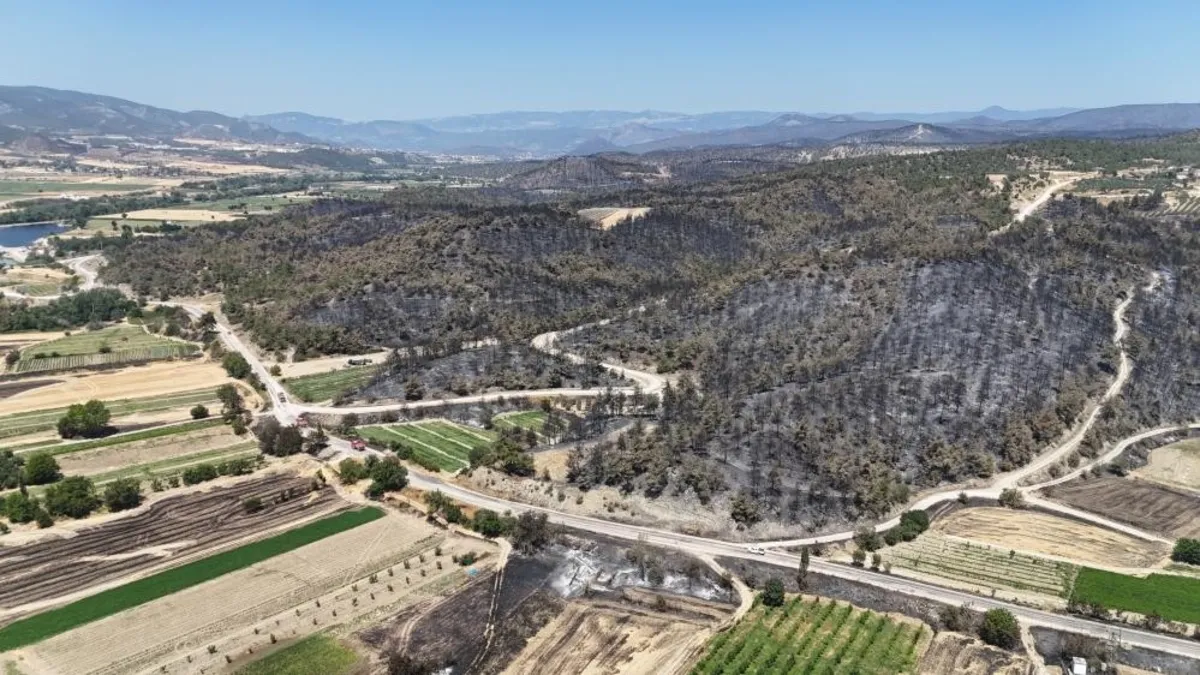 Bilecik'te yanan ormanlık ve kırsal alan havadan görüntülendi