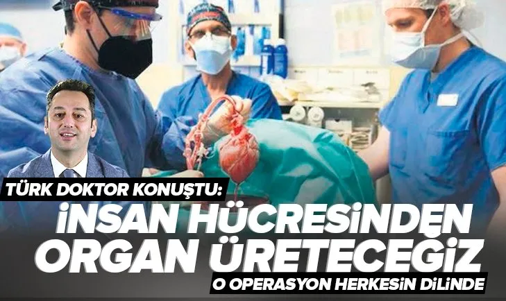 Herkes insana domuz kalbi naklini konuşuyor! Operasyonun esin kaynağı Türk doktor Burçin Ekser konuştu: İnsan hücresinden organ üreteceğiz