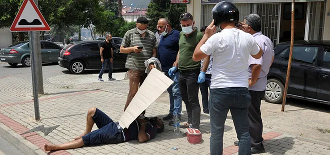 Arı yüzünden ölüyordu! Kartonla gölgelik yaptılar