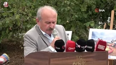 Arsin Foşa fındığının hasadı başladı