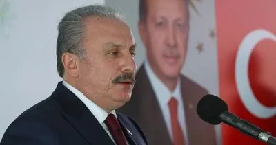 Formula 1 kupasını TBMM Başkanı Şentop verecek