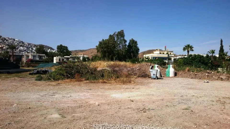 Bodrum'da çevre katliamı! Sahili büyütmek için onlarca ağaç kesildi