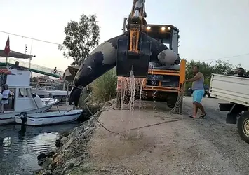 Fethiye'de bulundu! Tam 300 kilo ağırlığında
